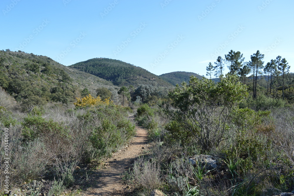 Petit sentier