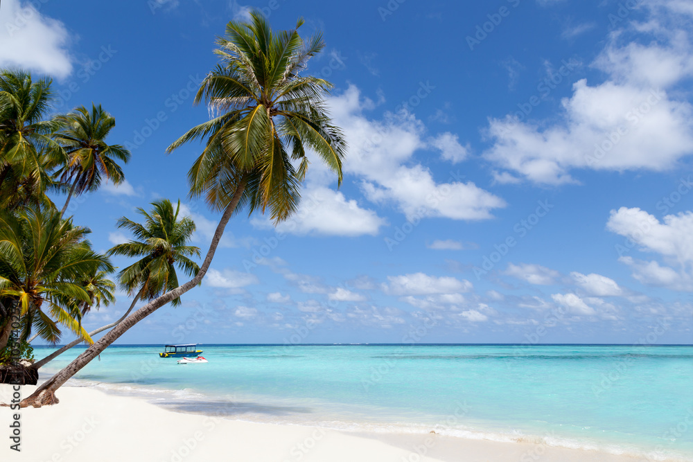 Fototapeta premium Maldives, a tropical island with palm trees and a view over the ocean