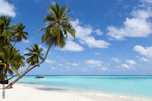 Fototapeta Naklejka Na Ścianę i Meble -  Maldives, a tropical island with palm trees and a view over the ocean
