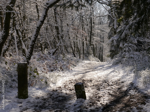 Aachen Dreiländerpunkt Schneelandschaft Grenzsteine 5 photo