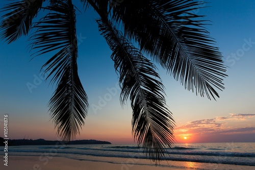 Tropical sunset over palm tree
