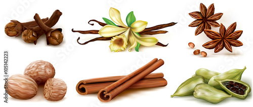 Different spices set