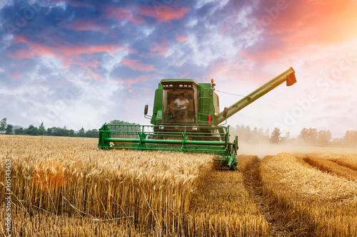 Combine harvester harvest ripe wheat on a farm photo