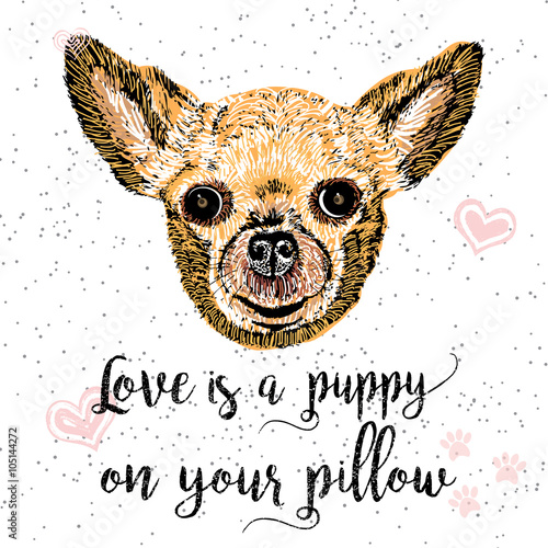 Love is a doggy on your pillow, drawn card and lettering calligraphy motivational quote for dog lovers and typographic design. Cute, friendly, smiling, inspirational doggy with hearts and sparkle. 