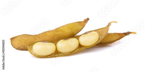 soy bean on white background