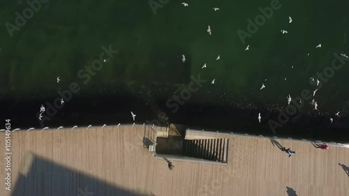 Aerial shot of man feeding seagulls in slow motion photo