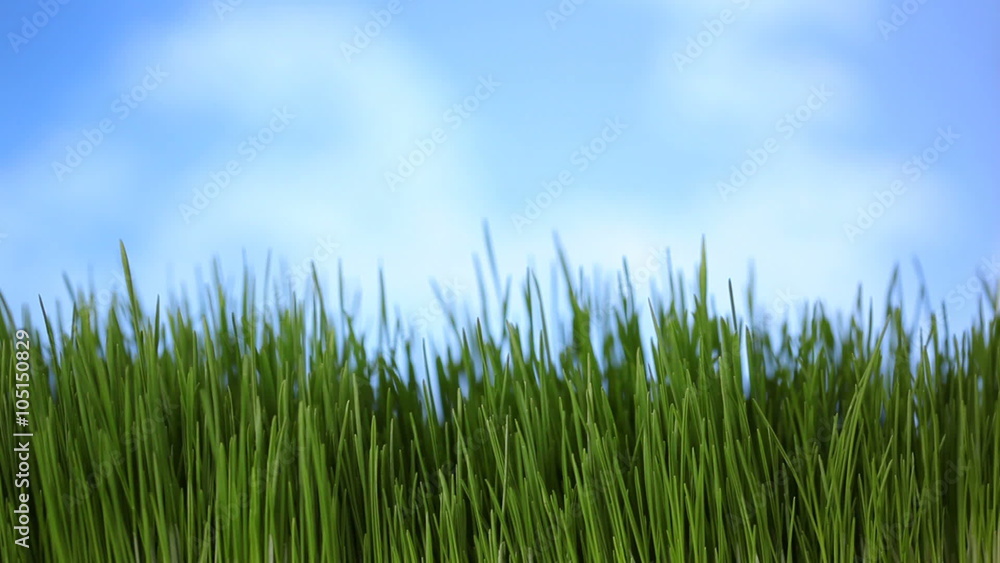 Grass and sky, time lapse Grass and sky, time lapse