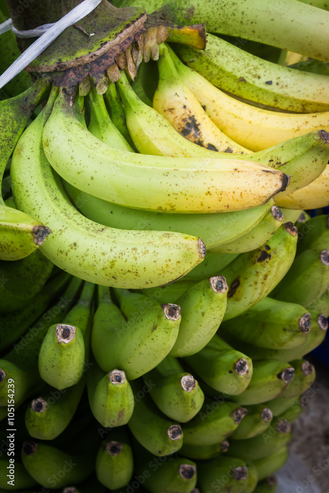 This is a photo of some bananas, was taken in Yunnan, China.