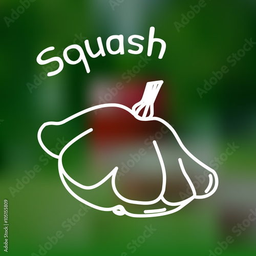 Thin line squash icon