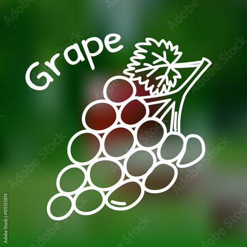 Thin line grape icon