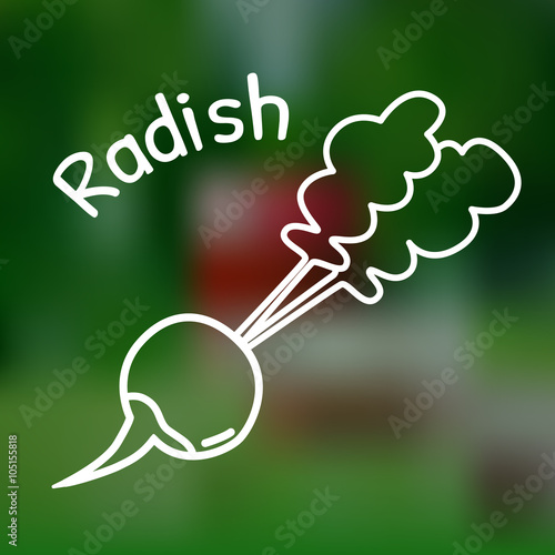 Thin line radish icon