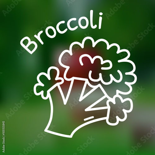Thin line broccoli icon