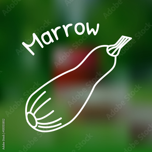 Thin line marrow icon