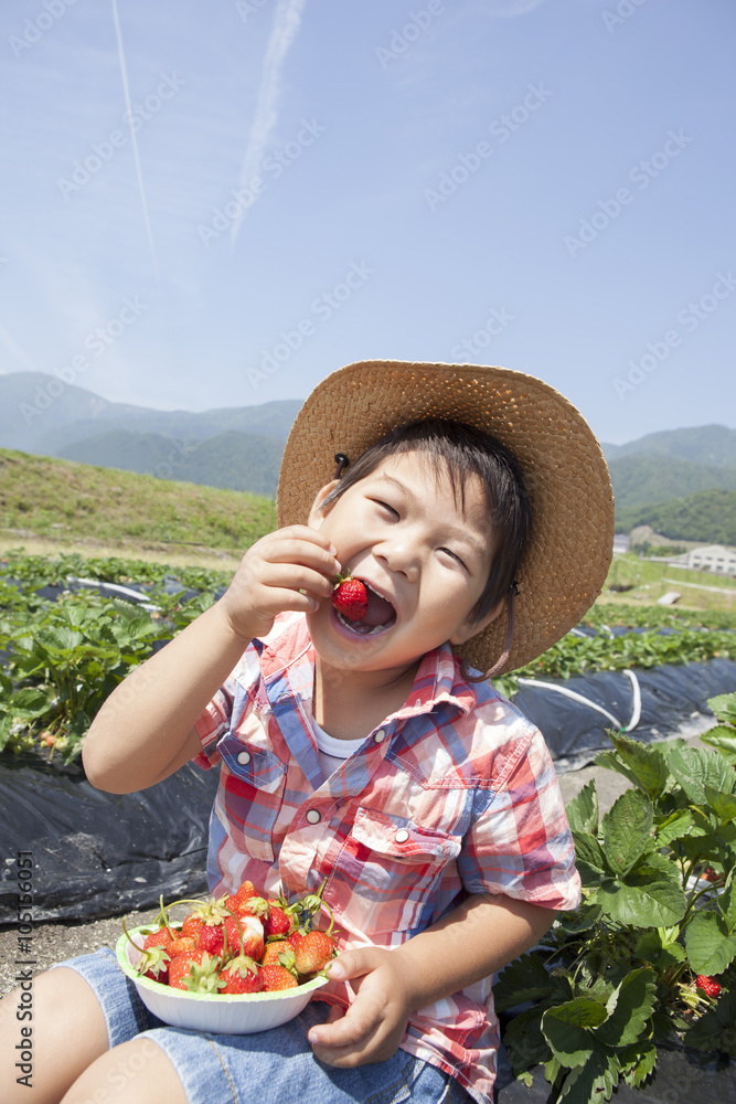いちご狩りを楽しむ子供
