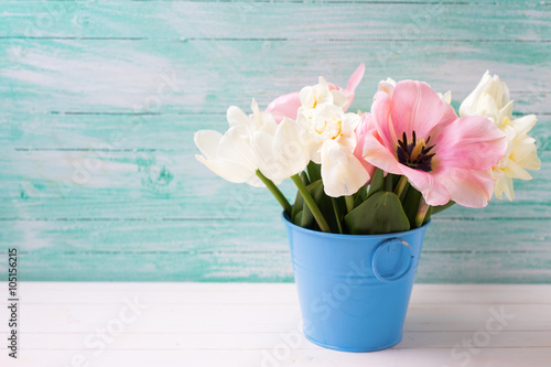 Fototapeta Naklejka Na Ścianę i Meble -  Fresh  spring white narcissus and pink tulips in bucket   on whi
