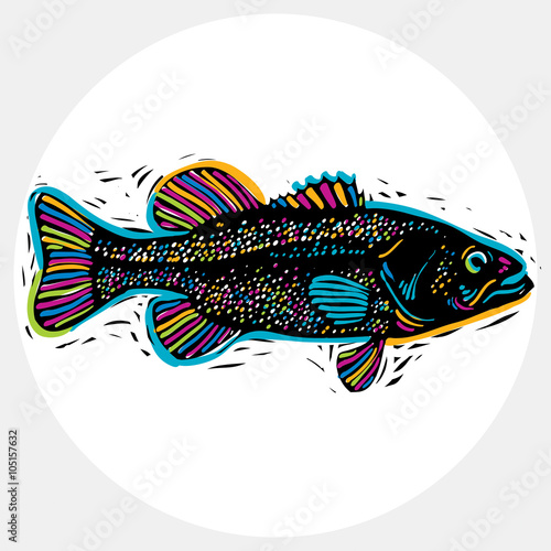 Vector drawing of freshwater fish with fins, underwater life