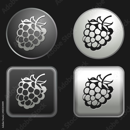 raspberry icon on round and square buttons