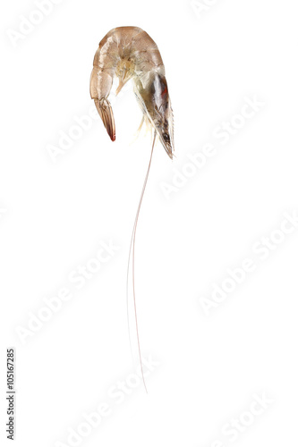 Fresh shrimp isolate on white background.