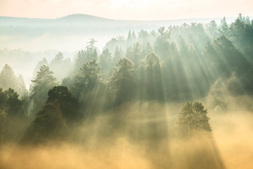 Keuken achterwand Mistige ochtendstond Zonnestralen breken door dichte mist  © Alexander Gogolin