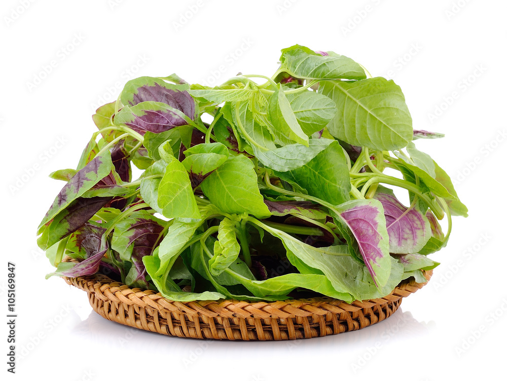 spinach in the basket on white background spinach in the basket on white background