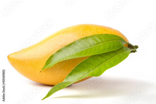 Delicious ripe Mango fruit with green leaf isolated on white background