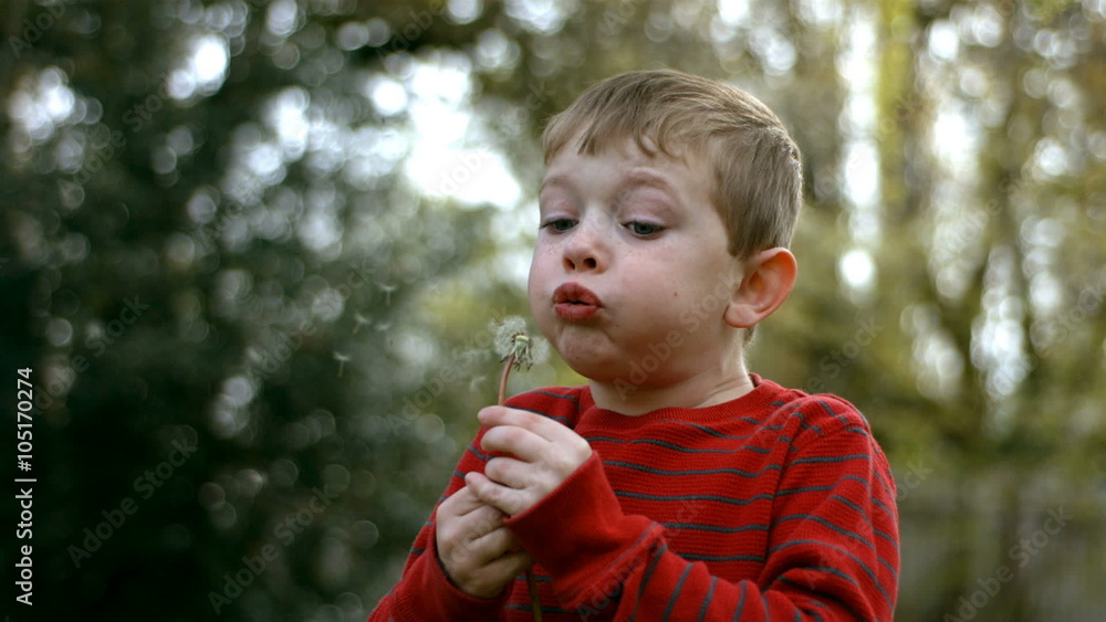 Young boy blowing wish, slow motion Young boy blowing wish, slow motion