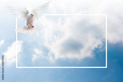Sky Funeral Background