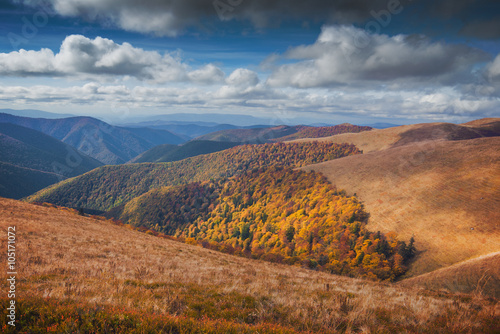 Red autumn in a Carpathian mountains
