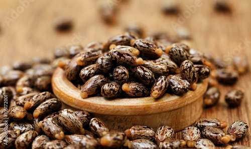 Canvas-taulu Castor beans