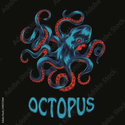 Octopus hand drawn vector illustration. Colorfull vector octopus