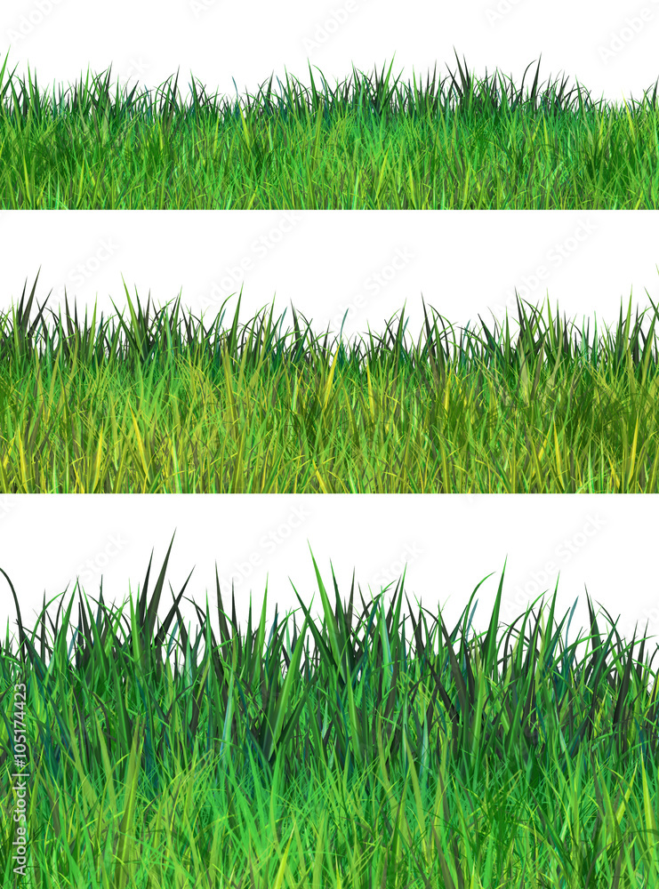 Green Grass Drawing