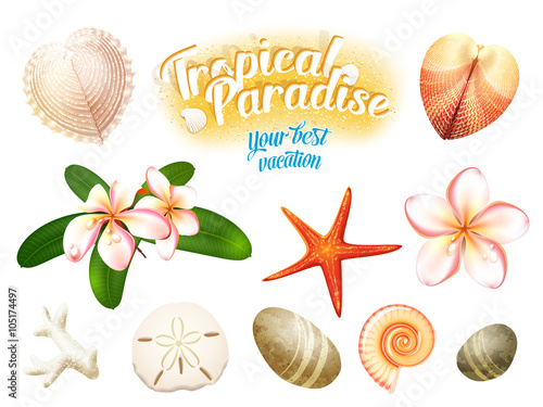 Set of tropical nature objects: sea shells, plumeria flowers (frangipani) sand dollar, starfish and water-worn pebbles. Isolated on white vector illustration, eps10.