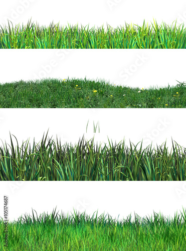 Green grass set. Fresh Green grass stripes on white paper background. Digital illustration Realistic drawing