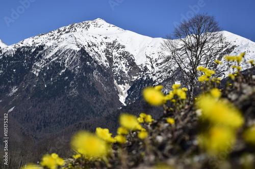 Весна в горах
