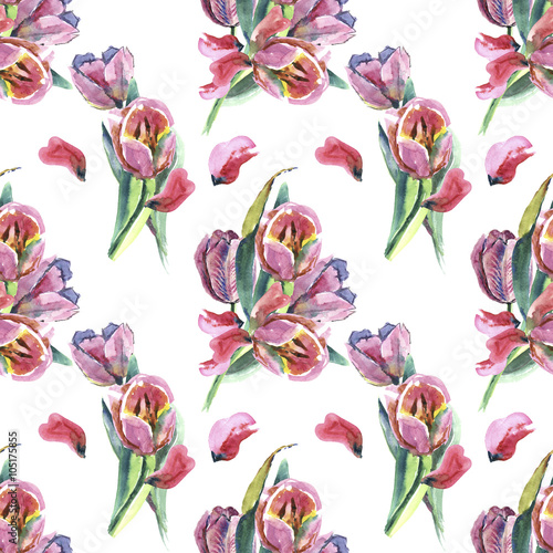 pink tulips  spring  watercolor