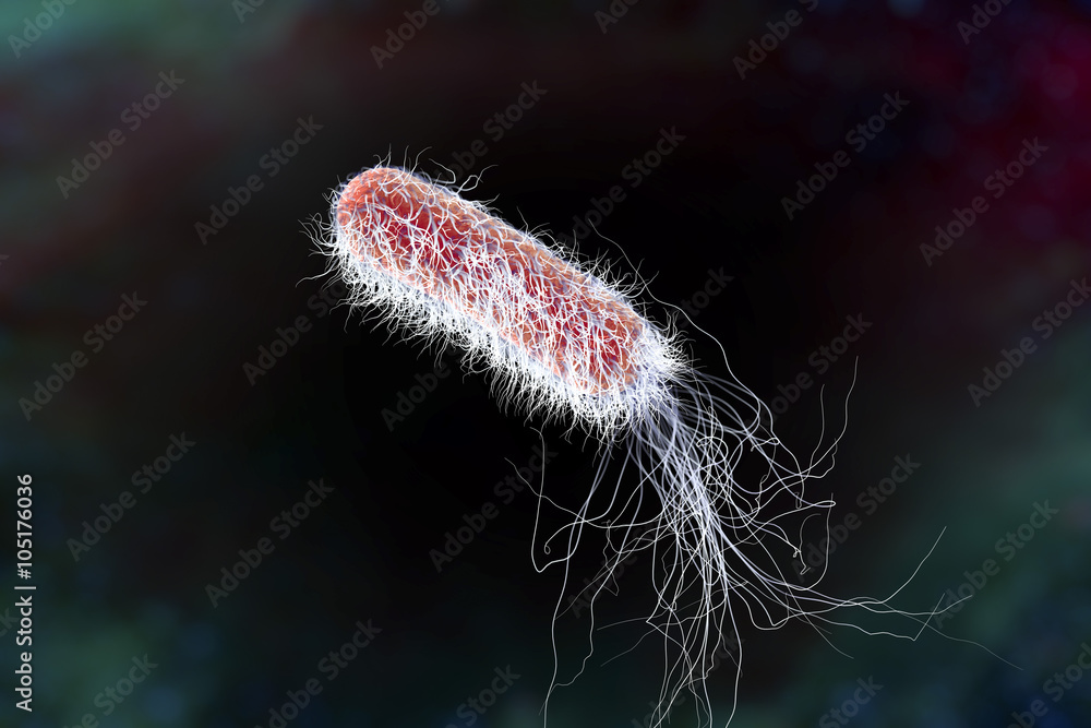 Fototapeta premium Bacterium Pseudomonas aeruginosa on colorful background, antibiotic-resistant nosocomial bacterium. Illustration shows polar location of flagella and presence of pili on the bacterial surface