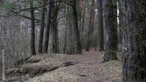 Wallpaper Mural The girl with long hair, sitting in the water on the river bank Torontodigital.ca