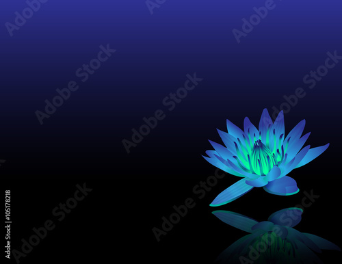 Fototapeta Naklejka Na Ścianę i Meble -  Blue Lotus Reiki Chakra Flower
