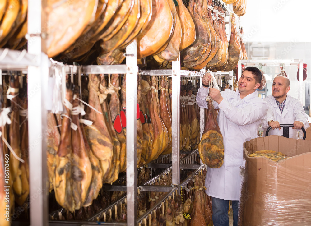 Farm workers checking condition of jamon.