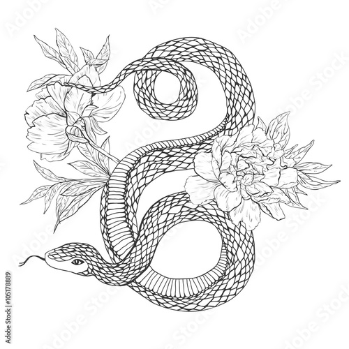 Snakes and flowers. Tattoo art, coloring books.
