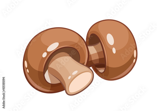Fresh champignon mushroom vector illustration eps10 isolated