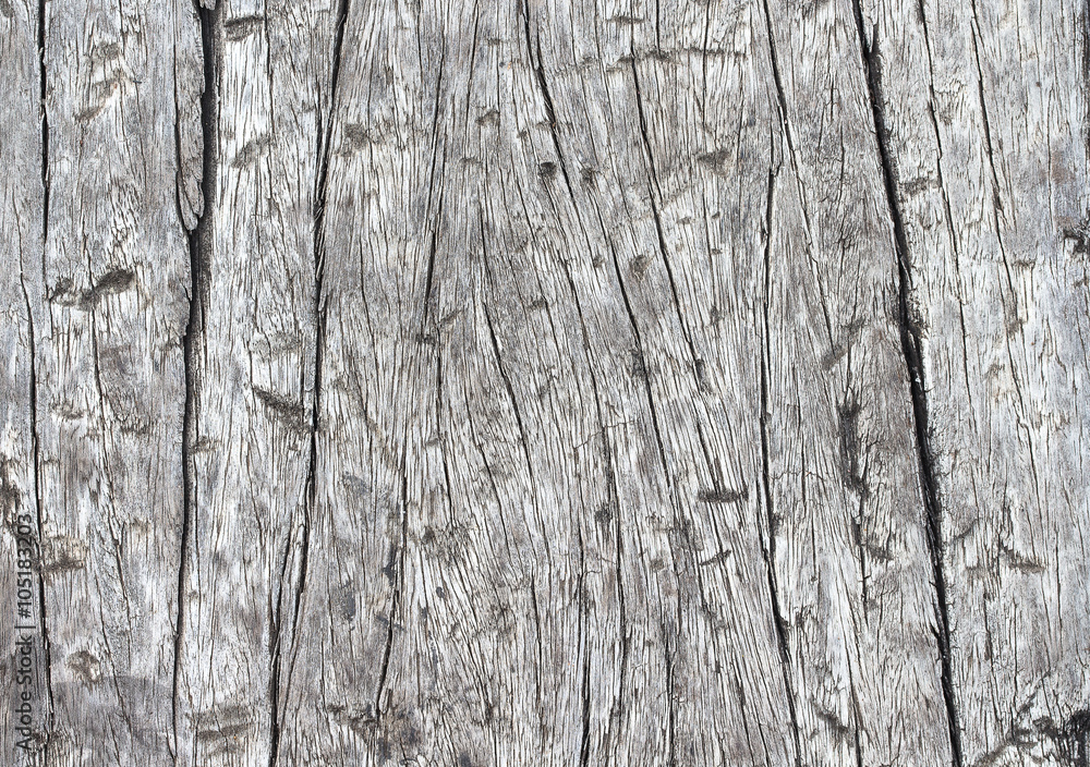 wood texture. background old panels wood texture. background old panels