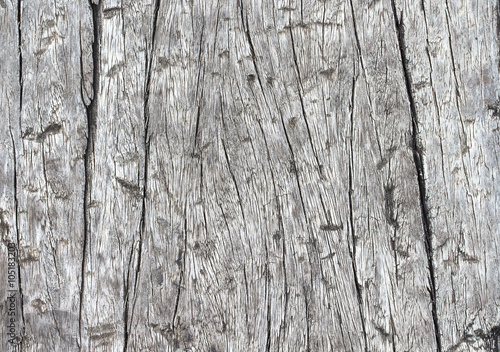 wood texture. background old panels