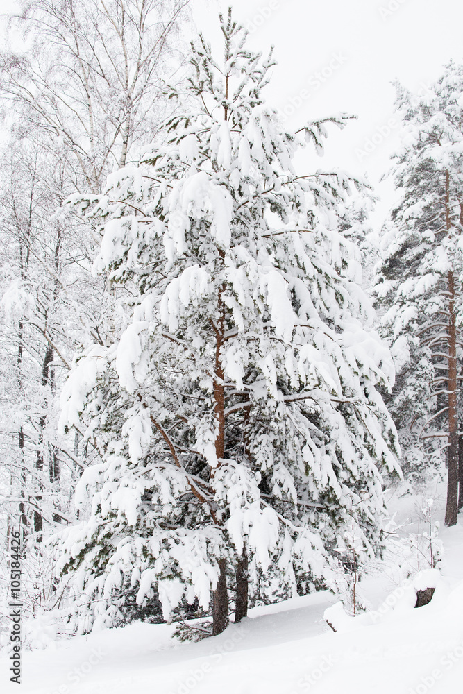 Naklejka premium Brick wall background