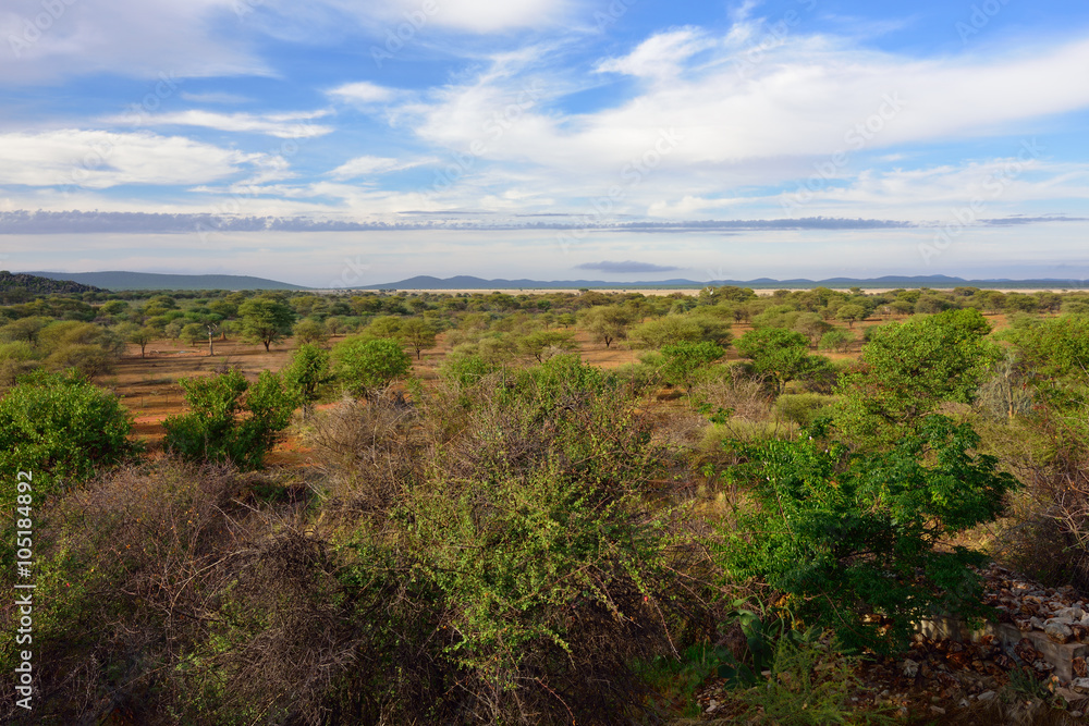 Damaraland landscape, Namibia, Africa