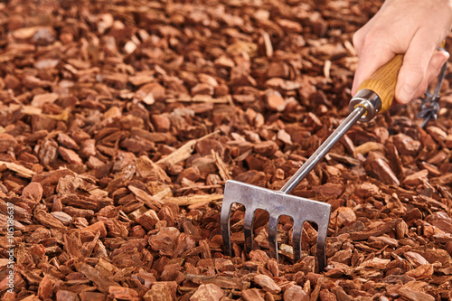 Single hand rake used by unidentifiable person photo