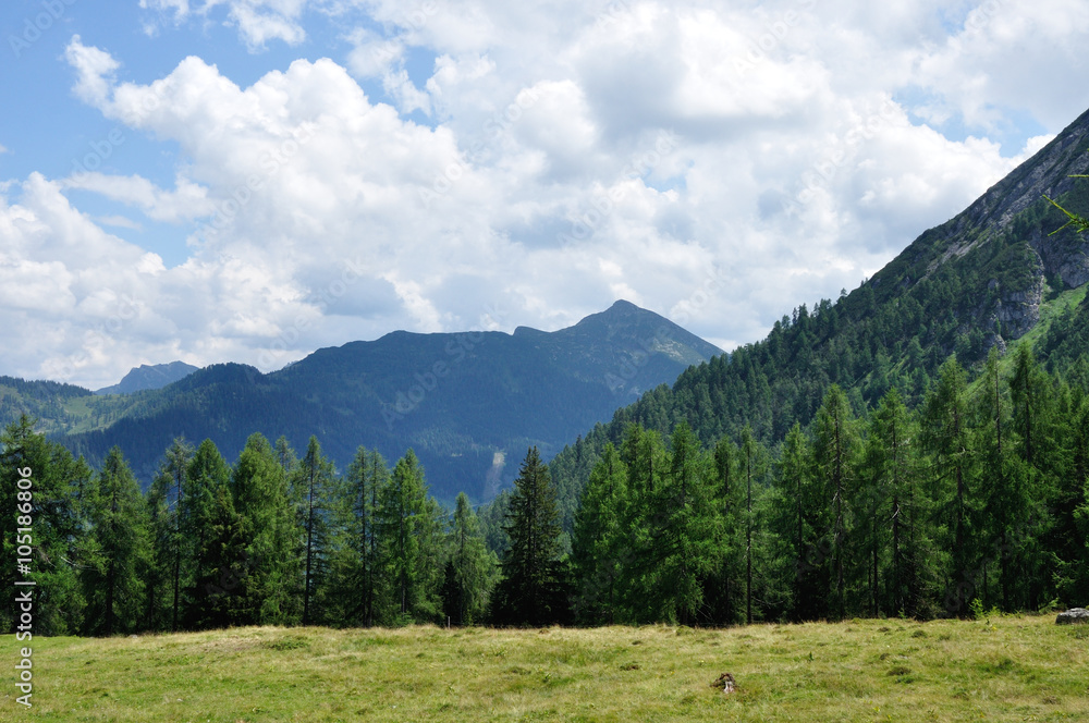 Naklejka premium alp