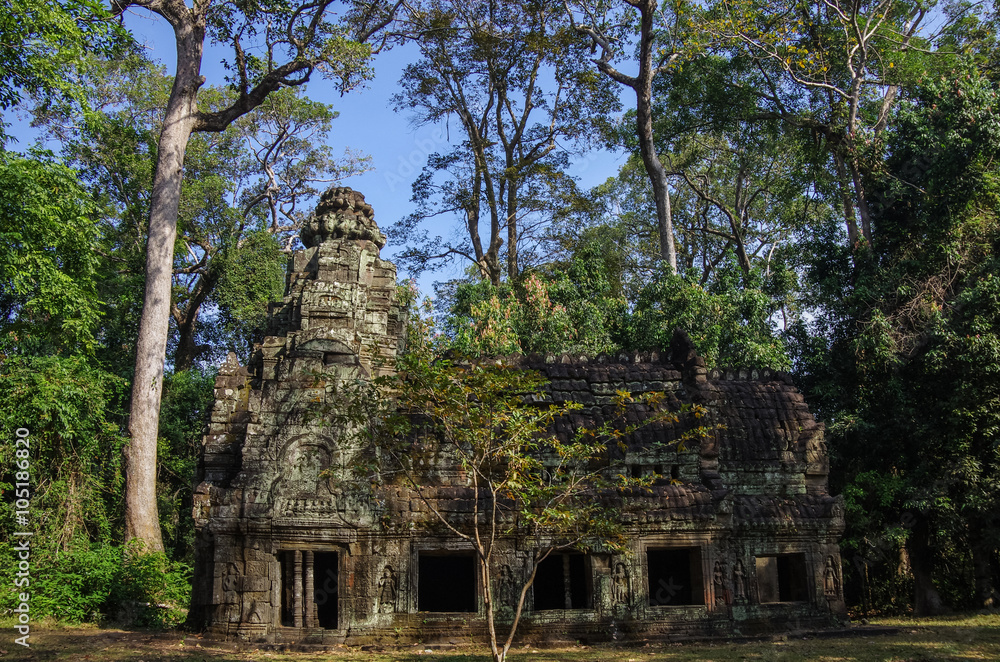 Tree roots growing through the ruins of Temple at Angkor area, Siem Reap, Cambodia Tree roots growing through the ruins of Temple at Angkor area, Siem Reap, Cambodia