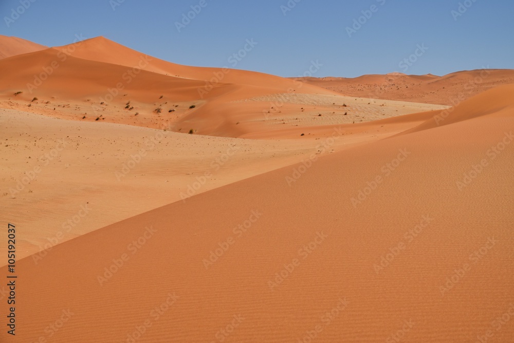 Sanddüne im Namib-Naukluft-Park