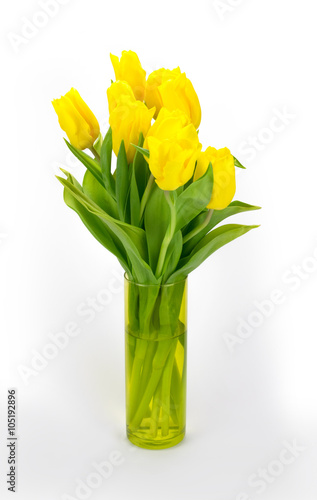 yellow tulips in a transparent vase on a light background